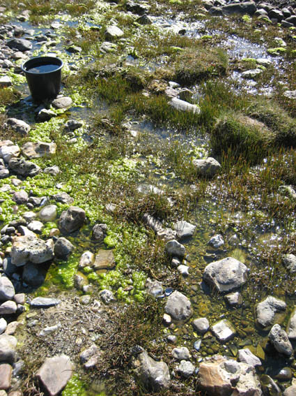 Pernille Toft Lund 1100 IMG 5846 8cm